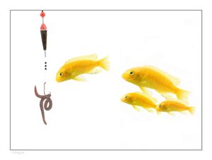 数字货币